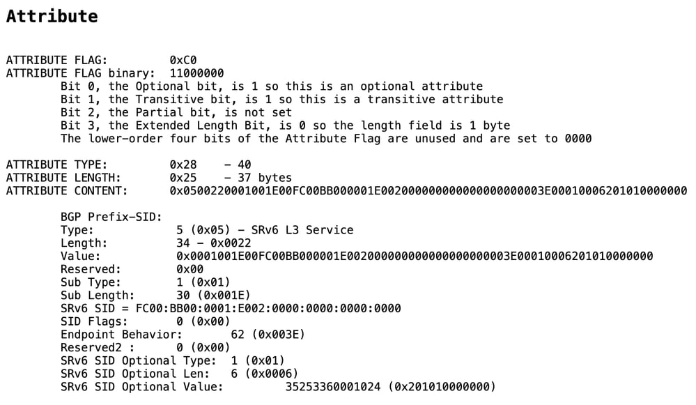 BGP Update