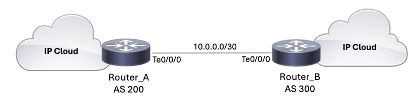 BGP Maximum-Prefix Topology