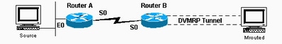 Propagate DVMRP Routes Through the Domain