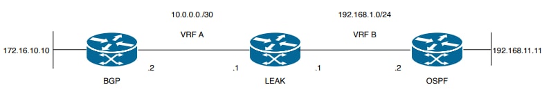 Route Leaking Topology for Scenario 2