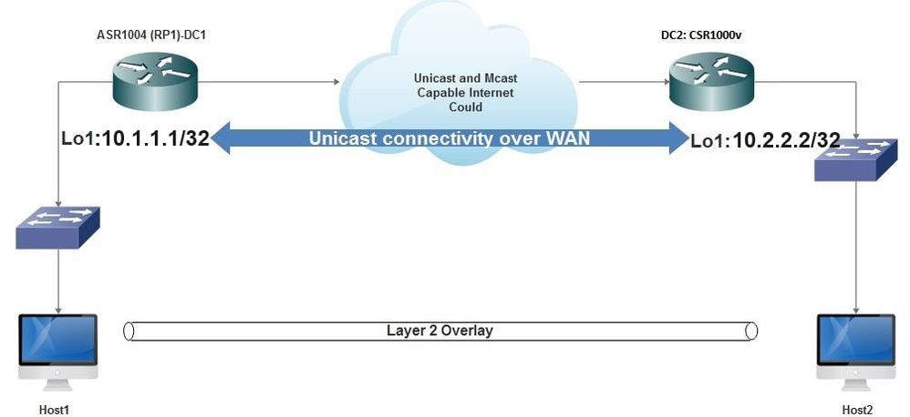 Unicast Connectivity Over WAN