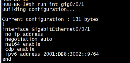 NAT64 Router - IPv6 Facing Interface