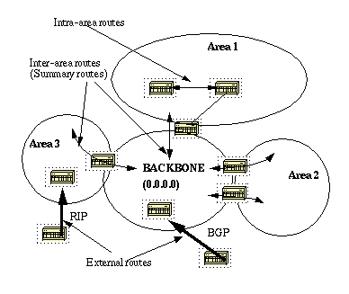 OSPF Design Guide - Flow of Information in an OSPF Network