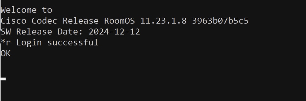 Successful Log in Attempt via SSH to the Endpoint