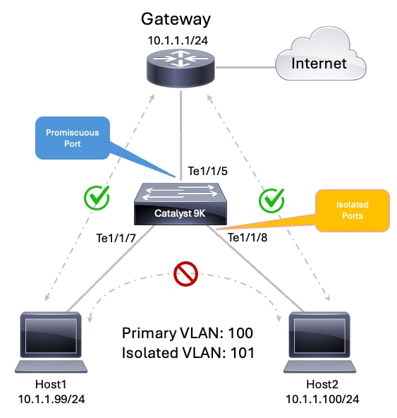 PVLAN Topology