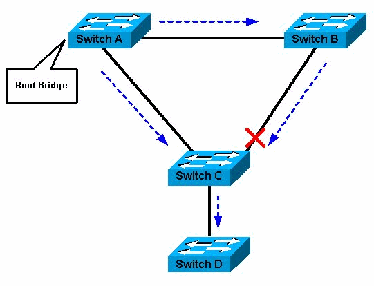 STP Network description