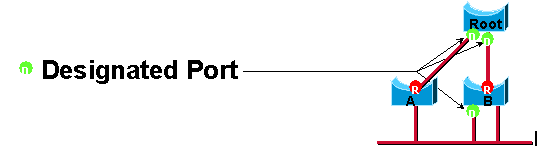 Designated Port