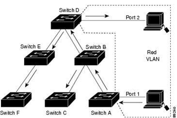 Broadcast Traffic in a Switched Network Without Pruning