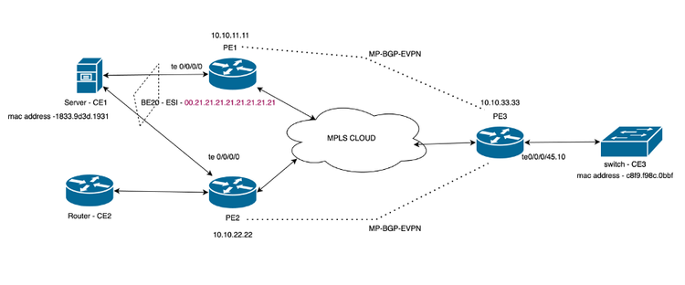 EVPN Network Topology