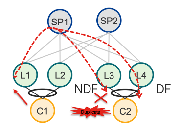 Designated Forwarder Behavior