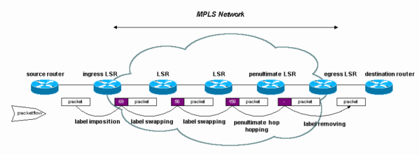 Multiprotocol Label Switching (mpls)