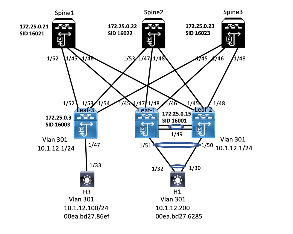 Network diagram for Nexus L2 EVPN over SR MPLS