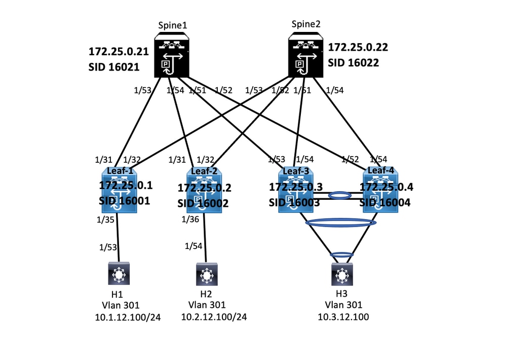 Network diagram for Layer3 EVPN over SR MPLS