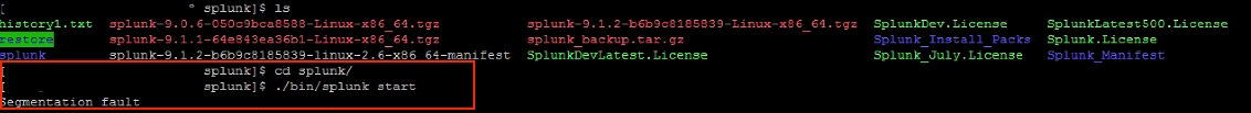 Segmentation fault error