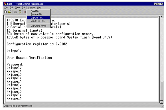 Cisco hyperterminal commands