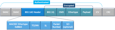 MACSEC Packet Format