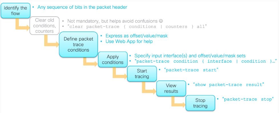 Packet Tracer Workflow