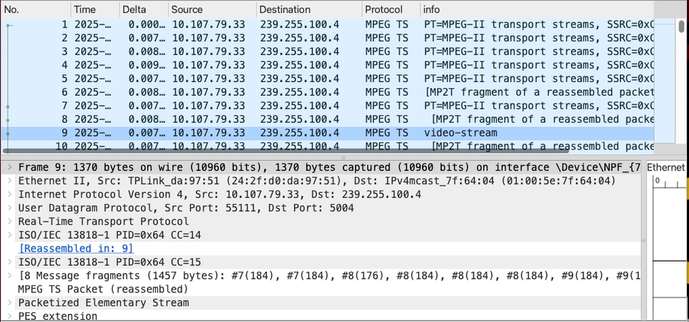 Multicast Traffic from the Source Device