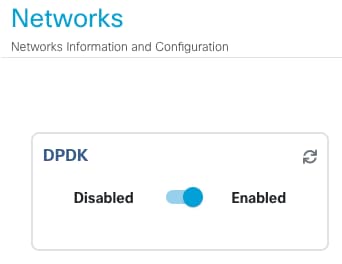 Enable DPDK