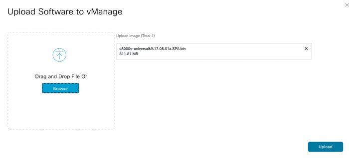 Image present in vManage Software Repository