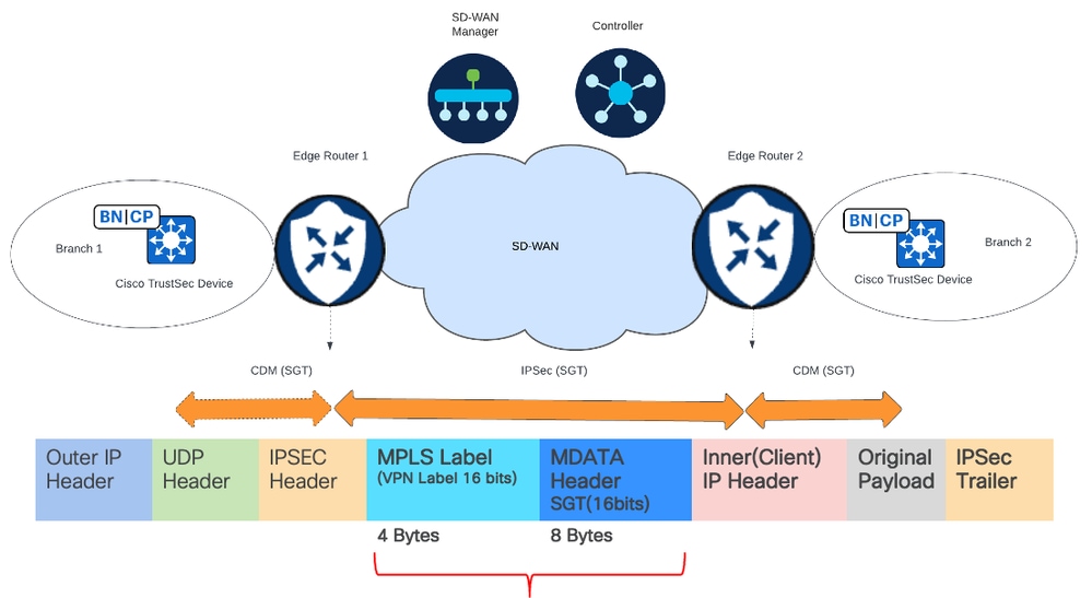 SGT field carried inside the packet going across the Cisco Catalyst SD-WAN packet and eight bytes of data is added to it