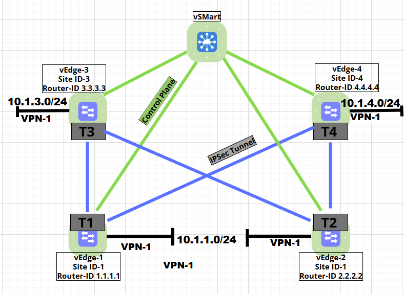 SDWAN Default Topology for Demonstration