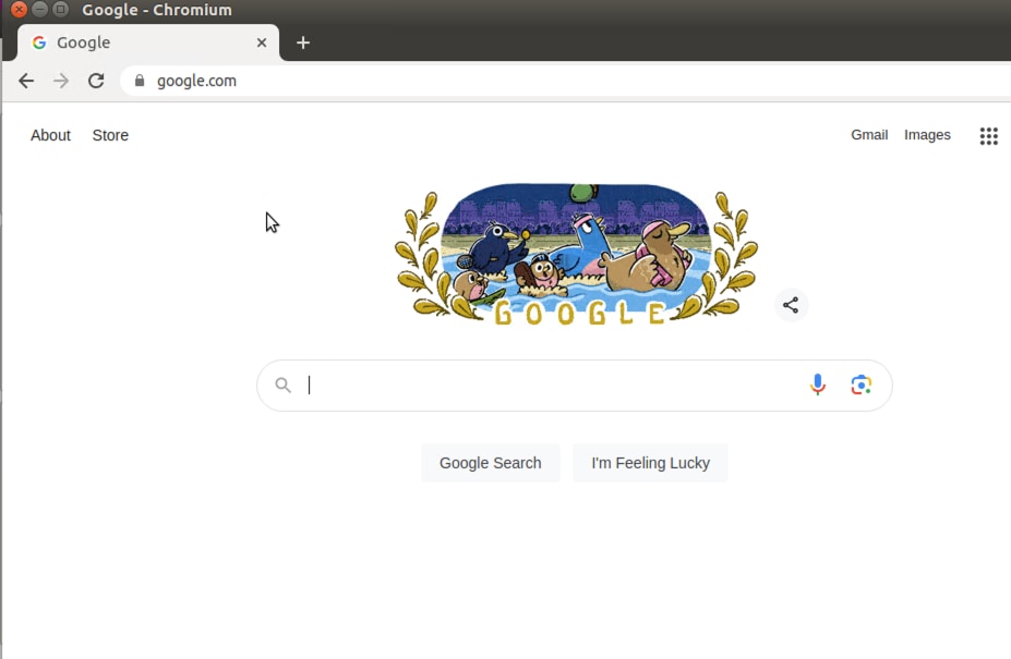 From client PC on Guest VPN, try to open google.com.