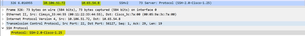 Server Protocol Version and Software Version