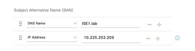 Add the DNS Name and IP Address