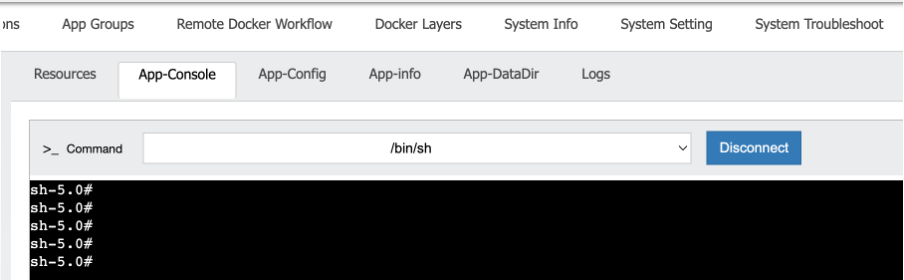 Onglet App Console dans IOx Local Manager