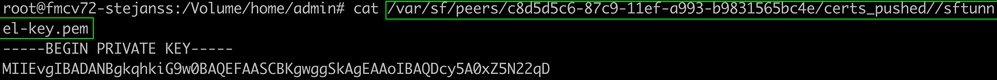 sftunnel-key.pem