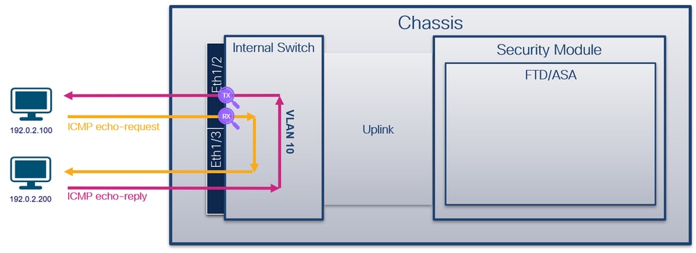 alt-tag-for-image