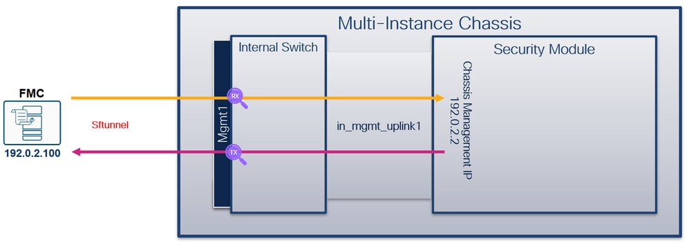 alt-tag-for-image