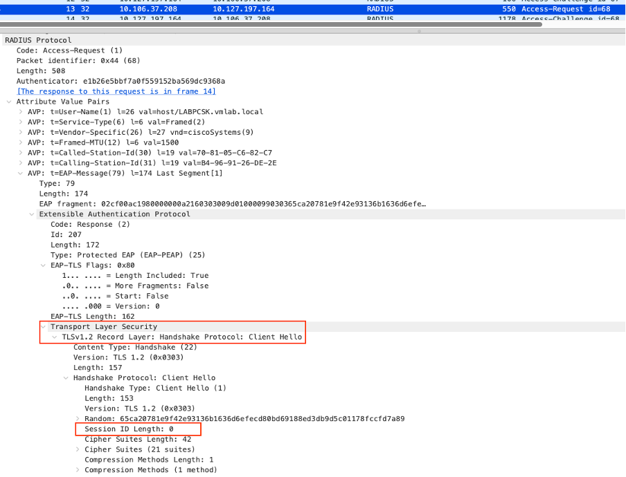 Initial TLS Handshake