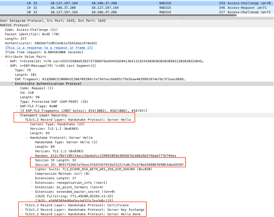 Initial Server Hello with Session ID