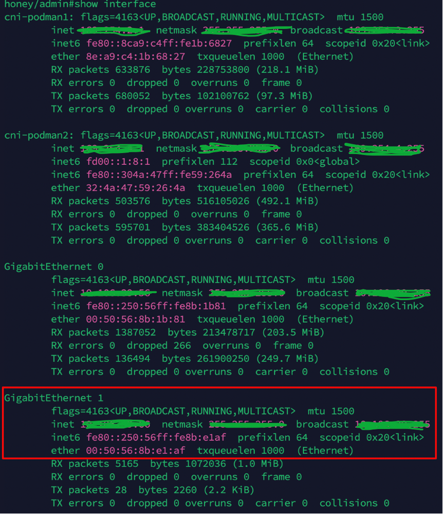 Verify IP Address ofGig1 Interface