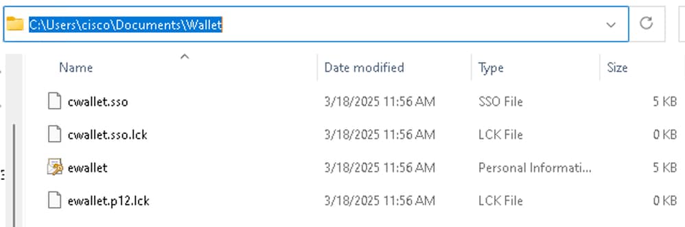 Verify Files in Wallet Path