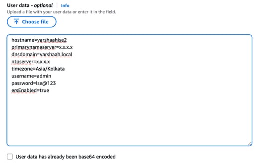 In the User Data Field, Provide the Initial Configuration Parameters