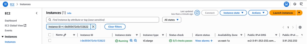 Instance ID