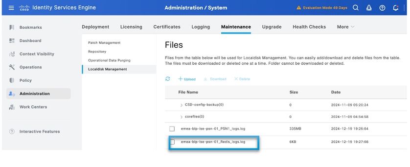 File Visible in Localdisk
