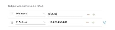 Add DNS Name and IP Address under Subject Alternative Name