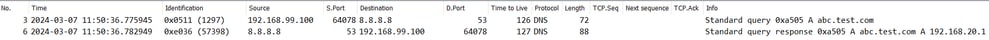 DNS Packets in Outside