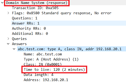 Detalhes do pacote de resolução DNS