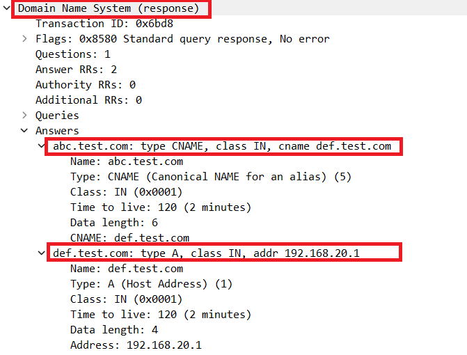 Packet Detail of DNS Resolution