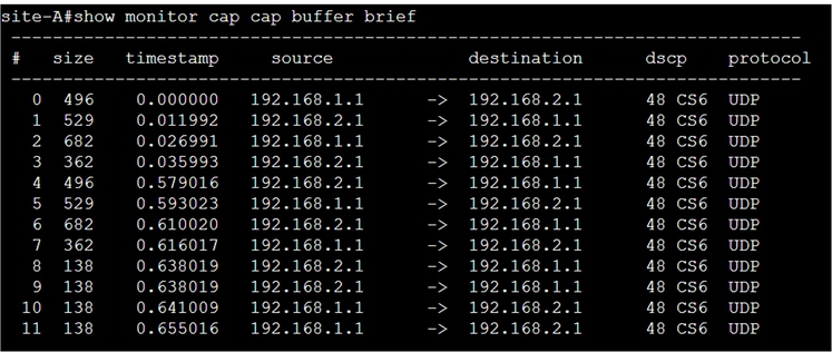 Output of Capture from the Router