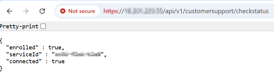 Output when RadKit Service is Running