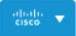 Cisco Icon