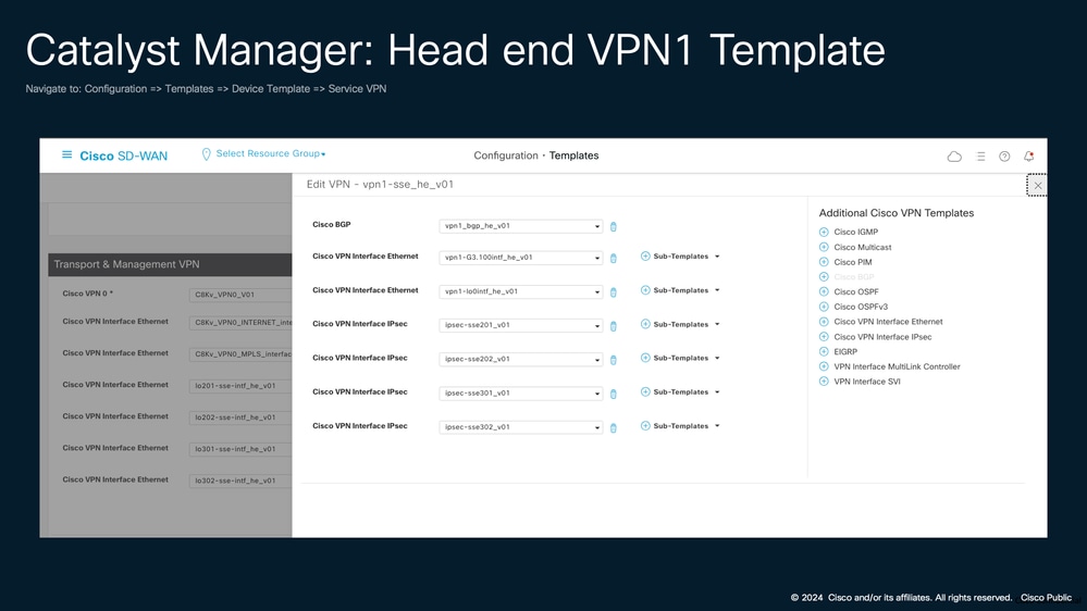 Catalyst Manager: Head end VPN1 Template