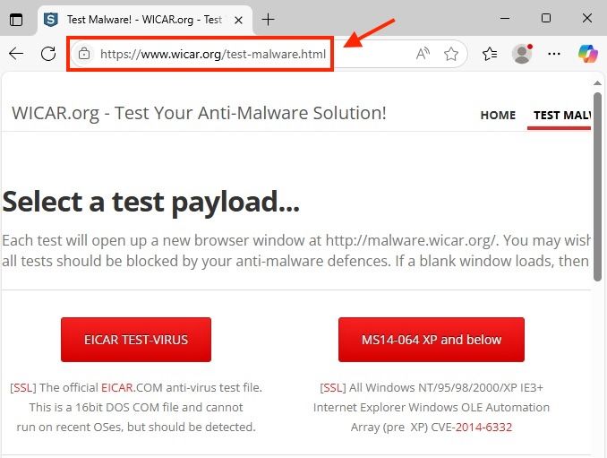 Browser Malicious URL