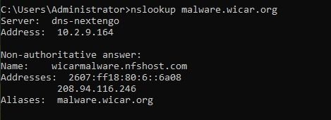 nslookup Output